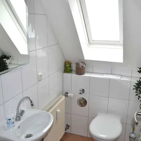 4-sterne Allium In * 브뤼겐