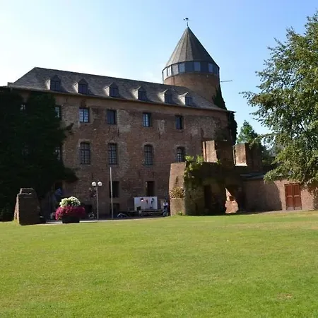 4-sterne Allium In * 브뤼겐