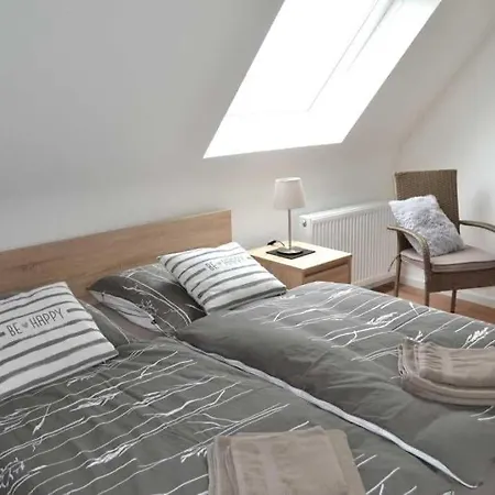 4-sterne Allium In 브뤼겐