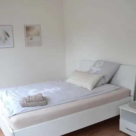 4-sterne Allium In 브뤼겐