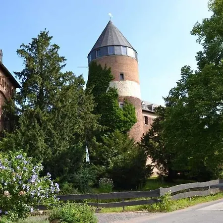 4-sterne Allium In 브뤼겐