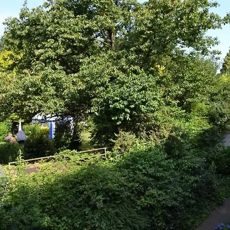 4-sterne Allium In 브뤼겐