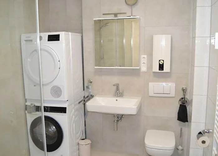 4-sterne Allium In *