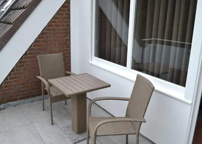 4-sterne Allium In *