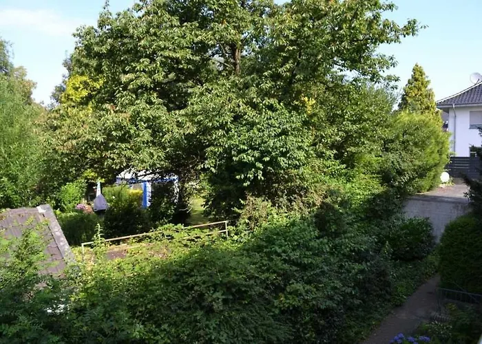 4-sterne Allium In Bruggen (Viersen)